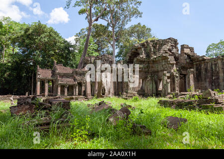 Preah Khan Tempel in der Nähe von Siem Reap, Kambodscha. Dieser Tempel sieht sehr mystisch mit Moos auf den Steinen. Ein großer spung Baum ist berühmt für diesen Tempel. Stockfoto