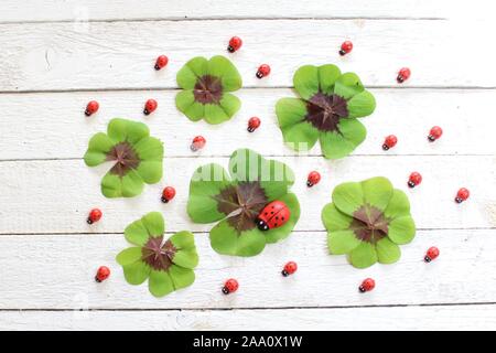 Das Bild zeigt Glücksklee auf weißem Boards Stockfoto