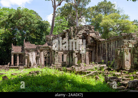 Preah Khan Tempel in der Nähe von Siem Reap, Kambodscha. Dieser Tempel sieht sehr mystisch mit Moos auf den Steinen. Ein großer spung Baum ist berühmt für diesen Tempel. Stockfoto