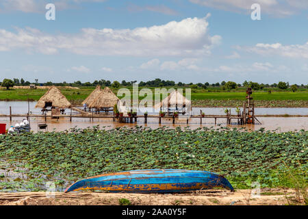 Kleine lotus Farm. Schuppen mit Dach aus Schilf Sitzen im Wasser fast schwebend. Ein blaues Boot fügt die Idylle. Stockfoto