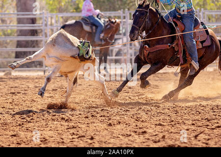 Kalb Kalb in einem Team Roping Veranstaltung der Cowboys an ein Land Rodeo lassoed werden Stockfoto