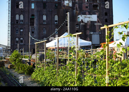 Regreening der Städte, Norden Farm in Brooklyn, New York City, USA Stockfoto