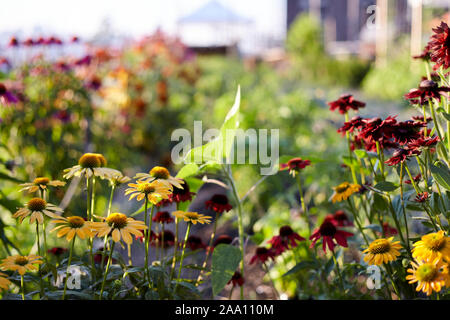 Regreening der Städte, Norden Farm in Brooklyn, New York City, USA Stockfoto