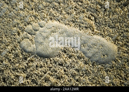 Fußabdruck am Strand erstellt im weissen Sand Stockfoto