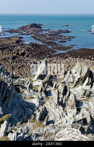 Ebbe auf Schiefer Felsen an Morte Point, North Devon, Großbritannien Stockfoto