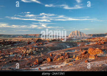 Versteinertes Holz und Badlands, Long Logs Trail, Petrified Forest National Park, Arizona USA Stockfoto