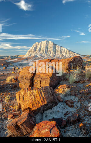 Versteinertes Holz und Badlands, Long Logs Trail, Petrified Forest National Park, Arizona USA Stockfoto