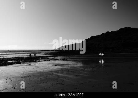 Ein surfboarder sein Surfbrett, die in Richtung Meer auf der Ebbe Sand von Langland Bay Strand auf der Halbinsel Gower Stockfoto