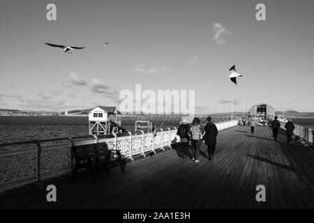 Mumbles Pier Blick in Richtung der RNLI Lifeboat Station am Ende auf und Port Talbot am Horizont als Möwen Overhead auf Strömungen der Luft drift Stockfoto