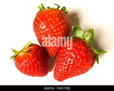 Drei Erdbeeren vor weißem Hintergrund Stockfoto