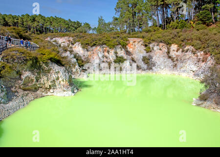 Roto Karikitea pool (Devil's Bath) im Wai-O-Tapu Thermal Wonderland Stockfoto