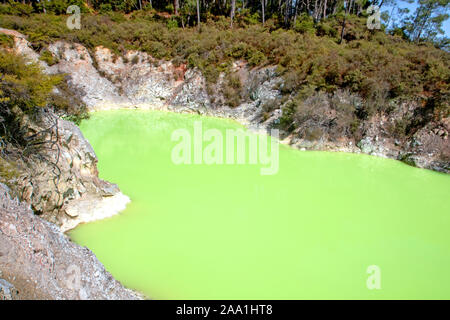 Roto Karikitea pool (Devil's Bath) im Wai-O-Tapu Thermal Wonderland Stockfoto