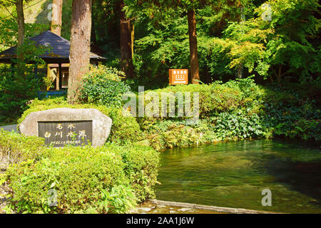 Quelle der Shirakawa Fluss, Präfektur Kumamoto, Japan Stockfoto