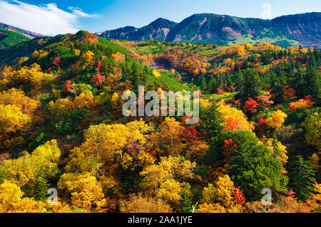 Mt. Tokachi, Herbst Laub, Hokkaido Prefecture, Japan Stockfoto