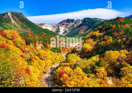 Mt. Tokachi, Herbst Laub, Hokkaido Prefecture, Japan Stockfoto