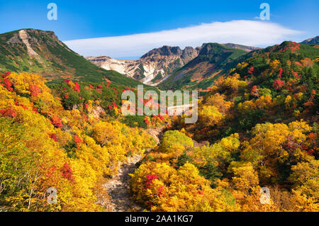 Herbst Laub, tokachidake Onsen, Hokkaido Prefecture, Japan Stockfoto