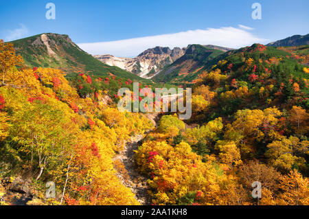 Herbst Laub, tokachidake Onsen, Hokkaido Prefecture, Japan Stockfoto