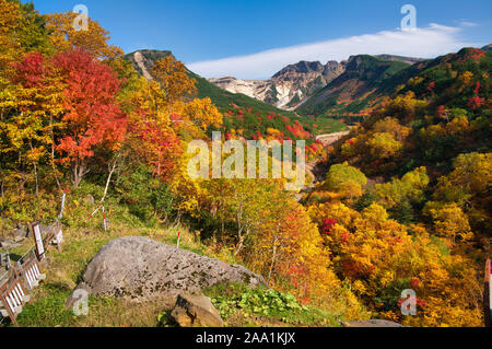 Herbst Laub, tokachidake Onsen, Hokkaido Prefecture, Japan Stockfoto