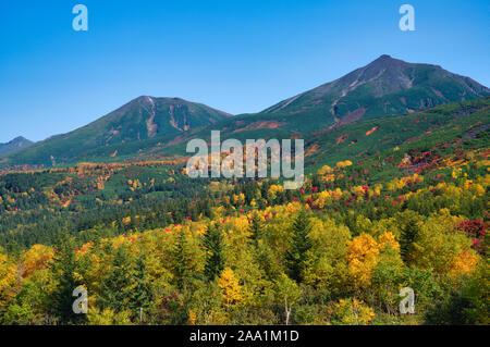 Mt. Tokachi, Herbst Laub, Hokkaido Prefecture, Japan Stockfoto