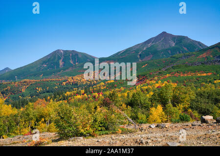 Mt. Tokachi, Herbst Laub, Hokkaido Prefecture, Japan Stockfoto