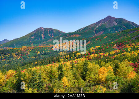 Mt. Tokachi, Herbst Laub, Hokkaido Prefecture, Japan Stockfoto