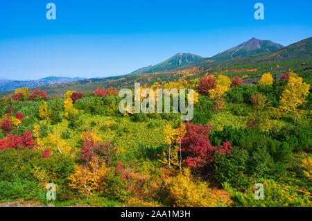 Mt. Tokachi, Herbst Laub, Hokkaido Prefecture, Japan Stockfoto