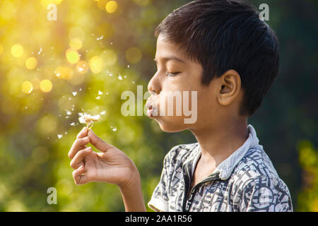 Kleinen indischen Jungen bläst Löwenzahn. Sijhora, Madhya Pradesh, Indien, November 2019 Stockfoto