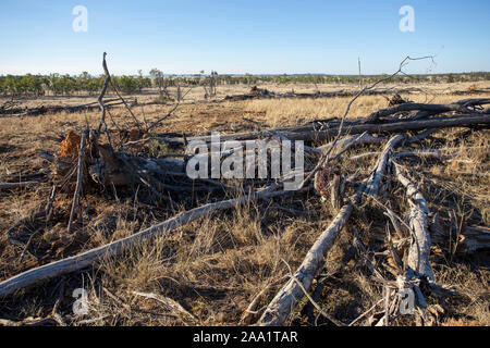 Aussicht auf Land vor kurzem gelöscht von Bäumen, wobei die Entwaldung in Queensland, Australien Stockfoto