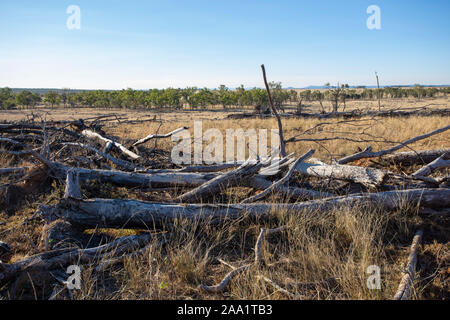 Aussicht auf Land vor kurzem gelöscht von Bäumen, wobei die Entwaldung in Queensland, Australien Stockfoto