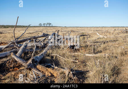 Aussicht auf Land vor kurzem gelöscht von Bäumen, wobei die Entwaldung in Queensland, Australien Stockfoto