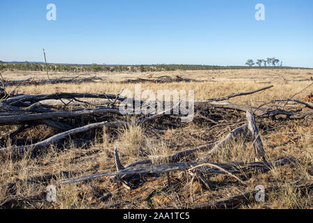 Aussicht auf Land vor kurzem gelöscht von Bäumen, wobei die Entwaldung in Queensland, Australien Stockfoto