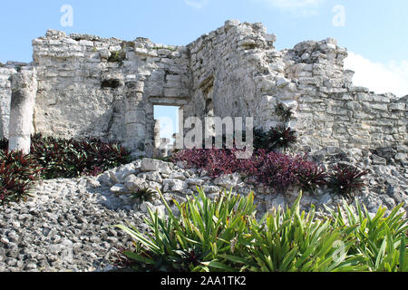 Maya Ruinen in der Stadt Tulum in der Nähe von Cancun, Mexiko im Bundesstaat Quintana Roo, gefüllt mit Geschichte, Kalkstein Gebäuden, Vegetation und Tierwelt Stockfoto