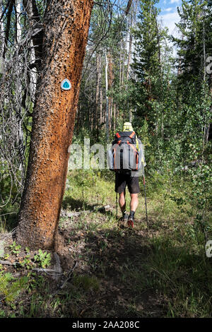 Wandern auf dem CDT im Wind River, Wyoming, USA Stockfoto