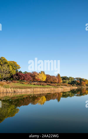 Herbstlaub. Herbst Landschaft. See. Olympic Park Seoul in Südkorea Stockfoto