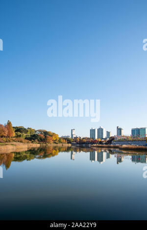 Herbstlaub. Herbst Landschaft. See. Olympic Park Seoul in Südkorea Stockfoto