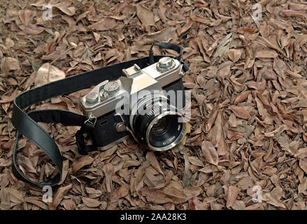 Vintage Kamera ruht auf Blätter im Herbst Stockfoto