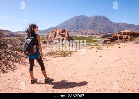 Frau genießen Sie einen Panoramablick auf die Quebrada de las Conchas mit dem Fluss Las Conchas im Hintergrund, Cafayate, Argentinien Stockfoto