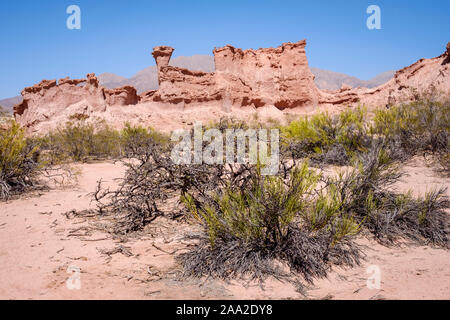 Die Lokomotive (Locomotora) Abbildung bei Los Colorados Bereich in der Quebrada de las Conchas, Cafayate, Argentinien Stockfoto