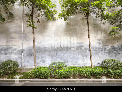 Alte Mauer mit Bäumen und Pflanzen, Platz für Text. Stockfoto