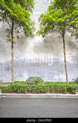 Alte Mauer mit Bäumen und Pflanzen, Platz für Text. Stockfoto
