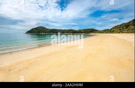 Langer Sandstrand Anchorage Bay, Abel Tasman National Park, der Tasman, Südinsel, Neuseeland Stockfoto