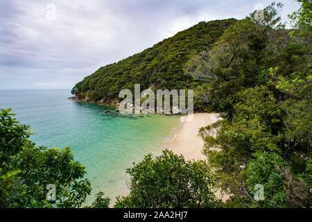 Kleine Bucht mit Strand, in der Nähe von Bark Bay, Abel Tasman National Park, der Tasman, Südinsel, Neuseeland Stockfoto