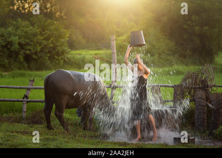 Frau, die in einem Feld gießen einen Eimer Wasser über den Kopf, Thailand Stockfoto