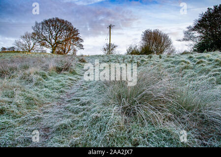 Chipping, Preston, Lancashire. 19. Nov 2019. UK Wetter: ein harter Frost am Morgen der kälteste Nacht des Herbstes so weit an der Splitterung, Preston, Lancashire. Quelle: John Eveson/Alamy leben Nachrichten Stockfoto