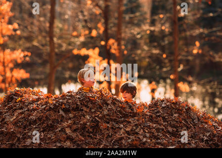 Zwei Jungen spielen in einem Stapel Blätter im Herbst, USA Stockfoto