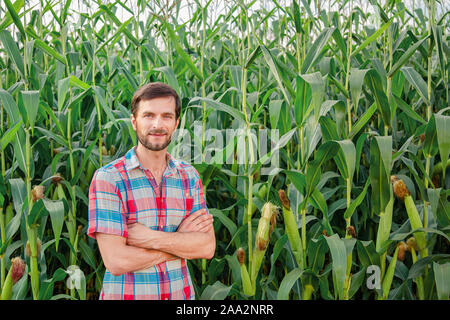 Männliche Landwirt Kontrolle Pflanzen auf seiner Farm. Agribusiness Konzept, Landwirtschaftlicher Ingenieur in einem Maisfeld mit einer Tablette, schreibt Informationen. Agron Stockfoto