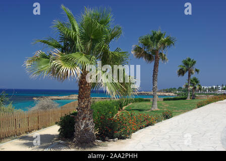 Fig Tree Bay Protaras Zypern Stockfoto