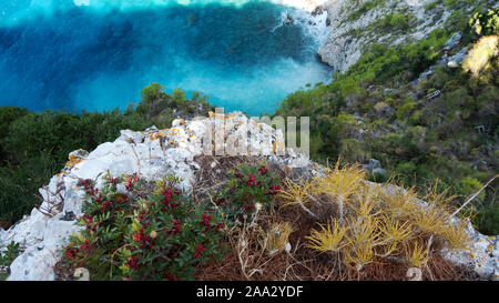 Das Schöne an der felsigen Küste in der Nähe von kampi am Ionischen Meer Stockfoto