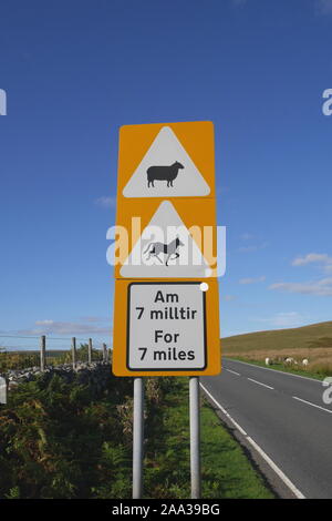 Zweisprachiges Straßenschild in Englisch und Walisisch, Schafe und Pferde auf der Straße für 7 km, Brecon Beacons, Brecknockshire, Powys, Wales, Großbritannien Stockfoto