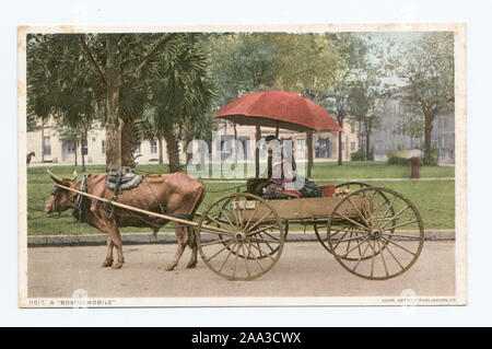 1907-1908. Erste Serie mit geteilten Rücken (für Nachricht und Adresse) ausschließlich.; ein Bovinemobile Stockfoto